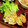 yuki★haru's cooksnap of when they made 柔らか♫鶏ささみのゆかりチーズパン粉焼き.