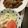 ぐりtoぐら's cooksnap of when they made 大根のツナマヨサラダ.