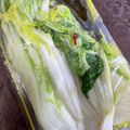 うめもり♪'s cooksnap of when they made 漬物桶不要！少量から昔ながらの白菜づけ.