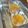 かな's cooksnap of when they made レモン汁で＊甘酸っぱレモンゼリー＊.