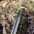 葉月優希's cooksnap of when they made 時短＊牛肉と玉ねぎの塩だれ炒め.