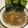 papikun's cooksnap of when they made パスタde醤油ラーメン（中太麺）.