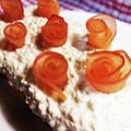 らびのゆうママ's cooksnap of when they made 犬用 お誕生日 ケーキ.
