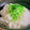 のんべぇヒロ's cooksnap of when they made たったこれだけ？とろろの美味しい食べ方.