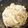 aaikoo's cooksnap of when they made ブリの炊き込みご飯:-).
