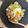 紅茶味's cooksnap of when they made アレンジ丼☆豚肉とキャベツのごまみそ丼.