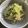 。かのこ。's cooksnap of when they made 水菜＆ハム＆春雨の胡麻マヨサラダ♪.
