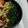 G_Yossan's cooksnap of when they made 簡単ブロッコリーのからし和え.