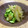 Haru Haru's cooksnap of when they made 秋のみょうがと枝豆の小鉢.