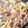 はむちャん's cooksnap of when they made お肉少なめ玉葱とどっさりキャベツの豚丼風.