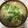 ちゃぎー's cooksnap of when they made わかめとたまごスープ　中華風.
