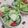 赤い電話's cooksnap of when they made りんごマヨサラダ.