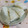 赤い電話's cooksnap of when they made 大根の甘酢漬け.
