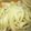 ＹＯＵ太's cooksnap of when they made 温玉のせぶっかけうどん.