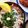 まみお✳'s cooksnap of when they made 簡単＆絶品♪手抜きしたい時にも☆しらす丼.
