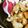 クックM96XDX☆'s cooksnap of when they made 鶏むね肉のポン酢炒め.