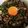ねこのガストン's cooksnap of when they made ニラひき肉丼.
