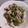 メイプル⌘'s cooksnap of when they made 驚くほど甘い！豚肉ピーマンの昆布茶炒め♪.
