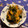 yoko母さん's cooksnap of when they made わさびの花✿しょうゆ漬け.