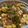 クニカニ's cooksnap of when they made 中国育ちの夫も大好き！本格麻婆豆腐.