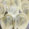 抹茶とさくら's cooksnap of when they made 水餃子【餃子鍋、スープ餃子にも】.