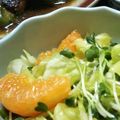 クリーピングタイム☆'s cooksnap of when they made 簡単☆みかんとキャベツのサラダ.