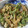 ちぃ88's cooksnap of when they made ブロッコリーとエリンギのオイマヨ炒め♪.