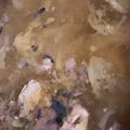 MULA's cooksnap of when they made 余ったサバ缶汁ごとde美味いサバ缶味噌汁.