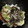 KAORU4649's cooksnap of when they made とろろとうなぎ丼ぶり◇根張星◇スタミナ↑.