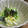 taruママ's cooksnap of when they made 麺つゆで簡単に＊三つ葉のふんわり卵とじ＊.