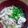 クック00Q0QZ☆'s cooksnap of when they made ちゃんこ風味噌味・あったまるー。.