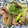 クックM6DK2O☆'s cooksnap of when they made 豚肉となすのネギ塩炒め.