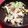 ゲーナがんも's cooksnap of when they made 春キャベツとゆで卵のごまサラダ.