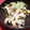 ゲーナがんも's cooksnap of when they made 春キャベツとゆで卵のごまサラダ.