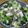 や～たん食堂's cooksnap of when they made いかとブロッコリーの中華炒め.