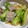 クックQM7AMR☆'s cooksnap of when they made アーサイ(子持ち高菜)の中華炒め.