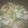 クックJZZDX2☆'s cooksnap of when they made 白だしで簡単、厚揚げと小松菜の煮浸し　.