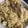 クックHJPQ9C☆'s cooksnap of when they made 【簡単炊き込みご飯】舞茸と油揚げ炊き込み.