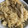 クックHJPQ9C☆'s cooksnap of when they made 【簡単炊き込みご飯】舞茸と油揚げ炊き込み.