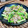 料理男子部's cooksnap of when they made 豚肉と小松菜とえのきのオイスター炒め.