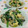 赤い電話's cooksnap of when they made 青菜と豚肉とたまごの三色炒め★.