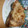 ☆motsu☆'s cooksnap of when they made ぶりの竜田揚げ？いえ竜田焼きです！.