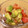 ねみねみ's cooksnap of when they made 我が家で定番な【トマトと新玉のサラダ】.