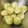 Asato★'s cooksnap of when they made じゃがいものおいしくなる茹で方.