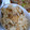 bonnet's cooksnap of when they made つくだ煮で簡単♪　深川飯.