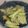 野菜ズッキーニ's cooksnap of when they made 腸活に♪「キノコの柚子胡椒ソテー」.