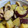 ミルミルミル's cooksnap of when they made さつまいもとささみの甘辛煮.