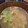 ゆりはるみ♡'s cooksnap of when they made 【農家のレシピ】もやしとレタスのスープ.