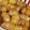 ちまちまぱぺっと's cooksnap of when they made 深谷ねぎの豚バラ巻き甘辛炒め.