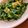 こずっぺ's cooksnap of when they made キャベツの外葉消費には☆ナンプラー炒め.